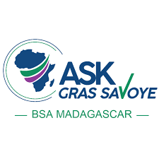 logo BSA